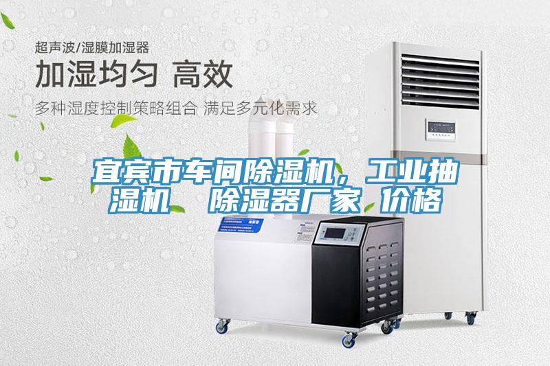 宜賓市車(chē)間除濕機(jī),工業(yè)抽濕機(jī) 除濕器廠家 價(jià)格