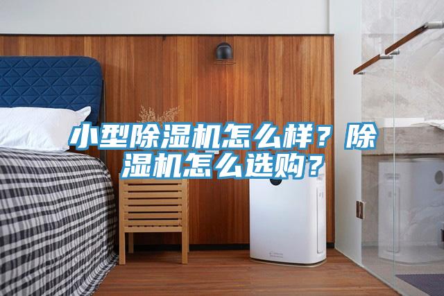 小型除濕機怎么樣?除濕機怎么選購?