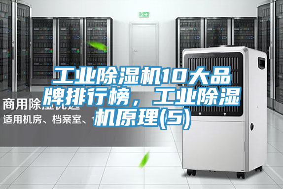 工業(yè)除濕機(jī)10大品牌排行榜,工業(yè)除濕機(jī)原理(5)