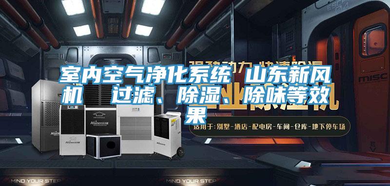 室內(nèi)空氣凈化系統(tǒng) 山東新風(fēng)機(jī)  過濾、除濕、除味等效果