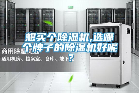 想買個(gè)除濕機(jī),選哪個(gè)牌子的除濕機(jī)好呢?