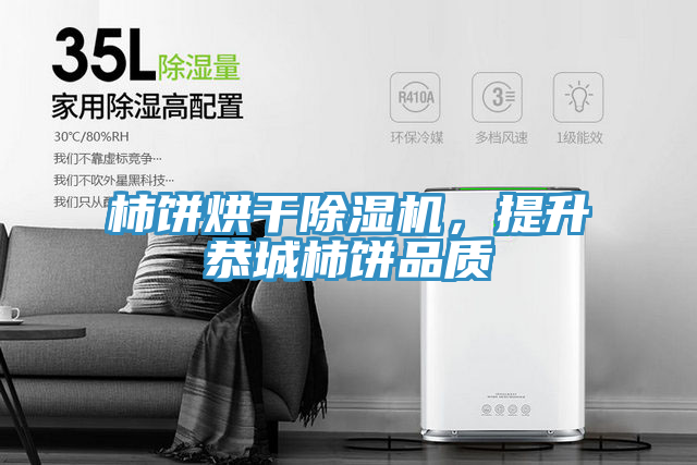 柿餅烘干除濕機，提升恭城柿餅品質