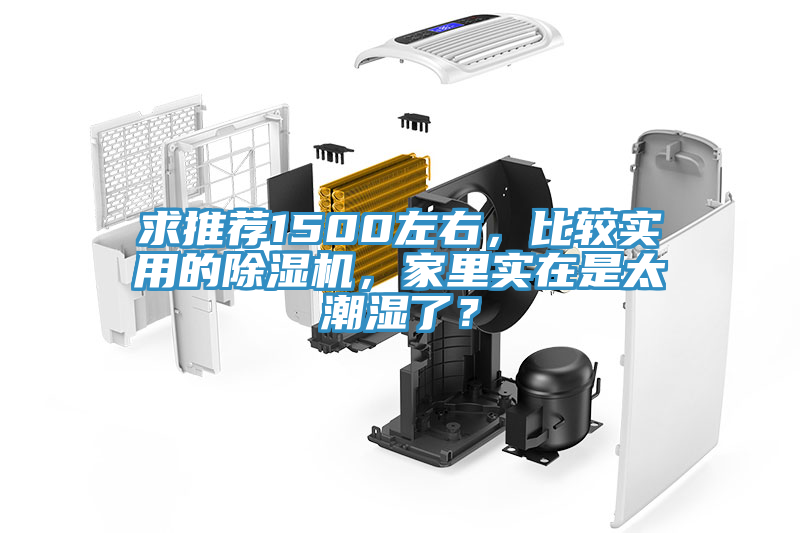 求推薦1500左右，比較實用的除濕機，家里實在是太潮濕了？
