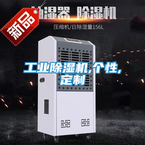 工業除濕機,個性,定制