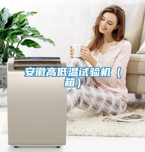 安徽高低溫試驗機(箱)