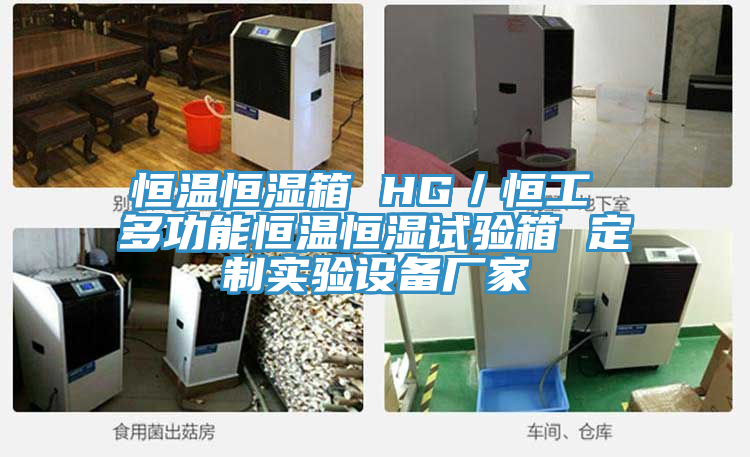 恒溫恒濕箱 HG/恒工 多功能恒溫恒濕試驗箱 定制實驗設備廠家