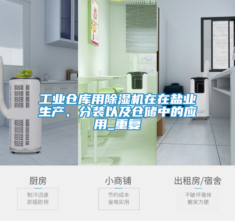 工業(yè)倉庫用除濕機(jī)在在鹽業(yè)生產(chǎn)、分裝以及倉儲(chǔ)中的應(yīng)用_重復(fù)