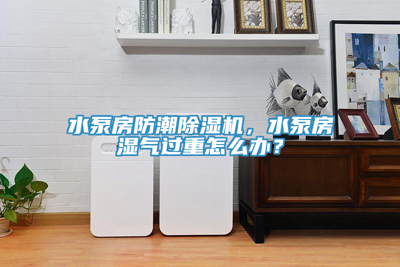 水泵房防潮除濕機(jī),水泵房濕氣過重怎么辦?