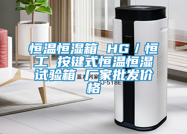 恒溫恒濕箱 HG/恒工 按鍵式恒溫恒濕試驗箱 廠家批發價格