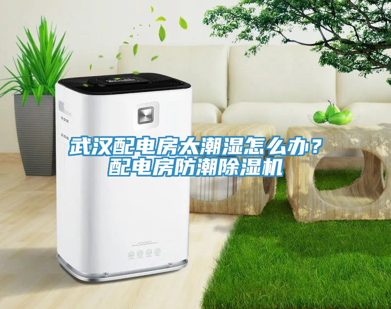 武漢配電房太潮濕怎么辦?配電房防潮除濕機