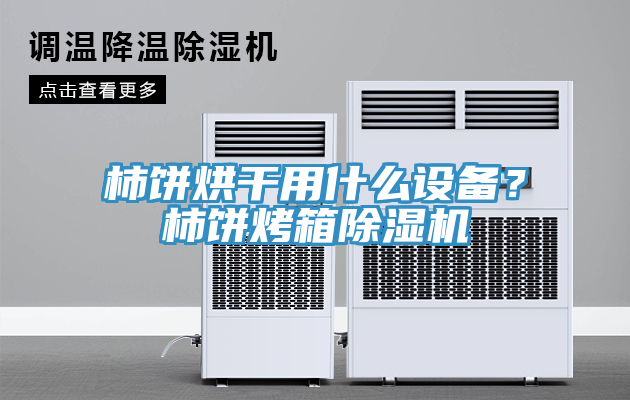 柿餅烘干用什么設備？柿餅烤箱除濕機