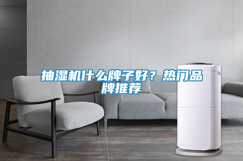 抽濕機什么牌子好?熱門品牌推薦