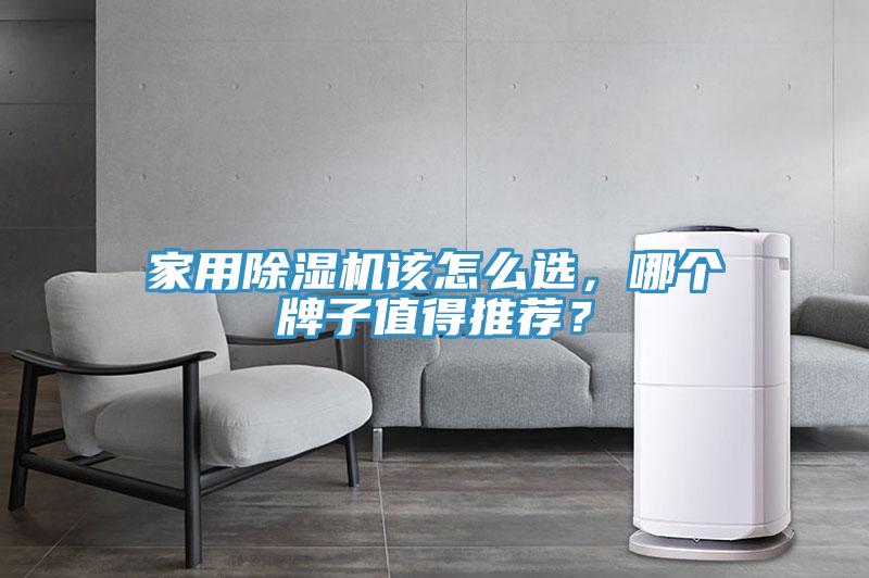 家用除濕機該怎么選,哪個牌子值得推薦?
