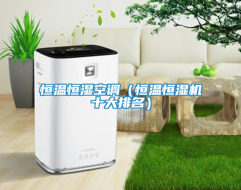 恒溫恒濕空調(恒溫恒濕機十大排名)
