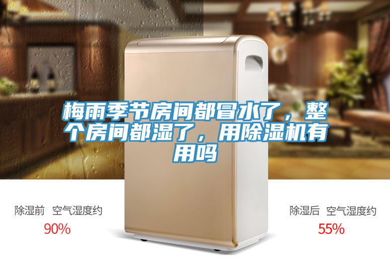 梅雨季節(jié)房間都冒水了,整個房間都濕了,用除濕機有用嗎