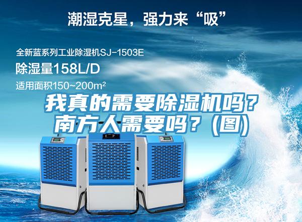 我真的需要除濕機嗎?南方人需要嗎?(圖)