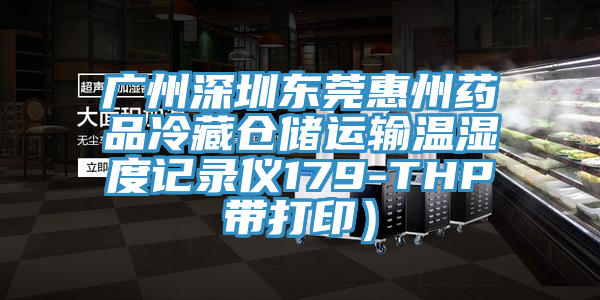 廣州深圳東莞惠州藥品冷藏倉儲(chǔ)運(yùn)輸溫濕度記錄儀179-THP帶打印）