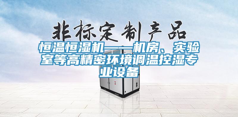 恒溫恒濕機——機房、實驗室等高精密環(huán)境調(diào)溫控濕專業(yè)設(shè)備