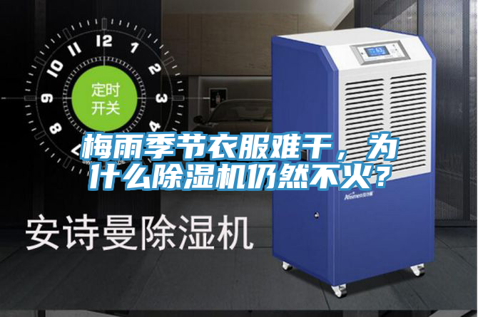 梅雨季節(jié)衣服難干,為什么除濕機仍然不火?
