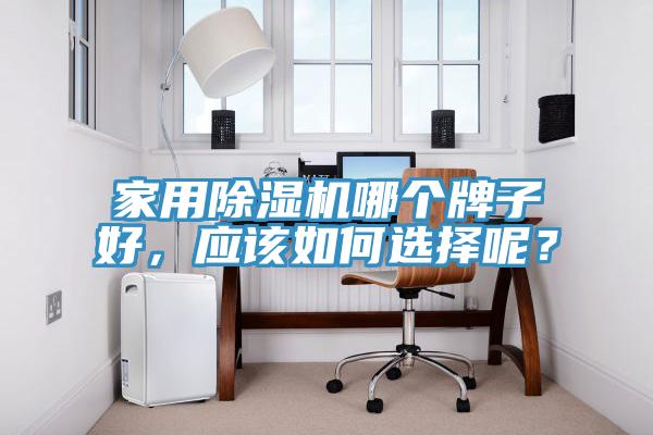 家用除濕機(jī)哪個牌子好，應(yīng)該如何選擇呢？