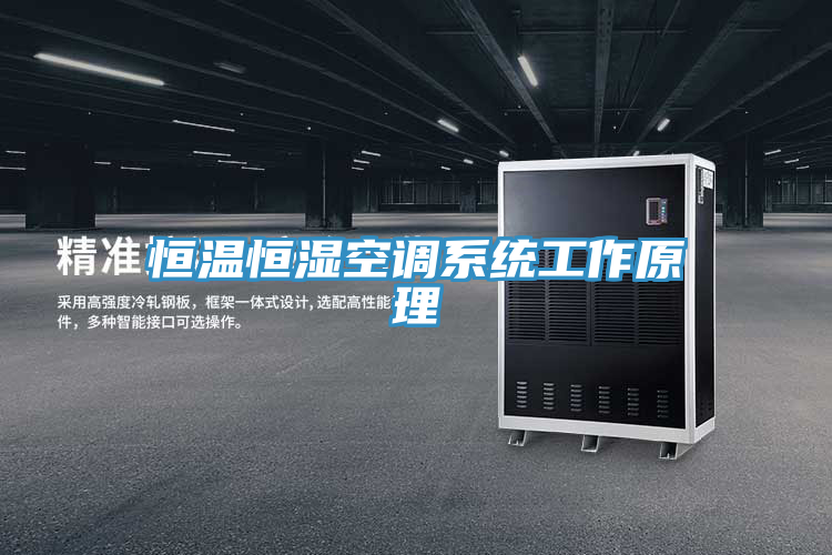 恒溫恒濕空調系統(tǒng)工作原理