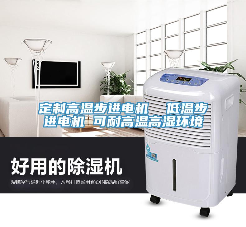 定制高溫步進電機 低溫步進電機 可耐高溫高濕環境