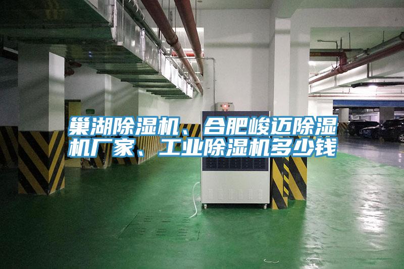 巢湖除濕機、合肥峻邁除濕機廠家、工業除濕機多少錢