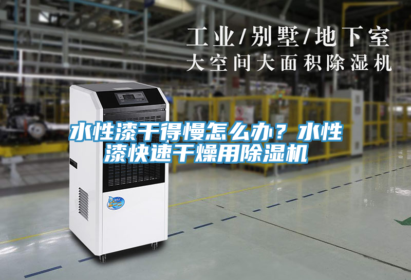 水性漆干得慢怎么辦?水性漆快速干燥用除濕機