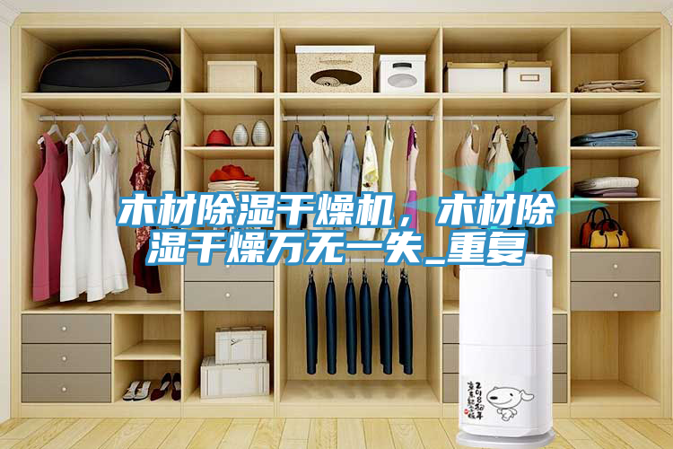 木材除濕干燥機,木材除濕干燥萬無一失_重復