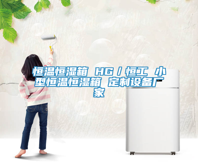 恒溫恒濕箱 HG/恒工 小型恒溫恒濕箱 定制設備廠家