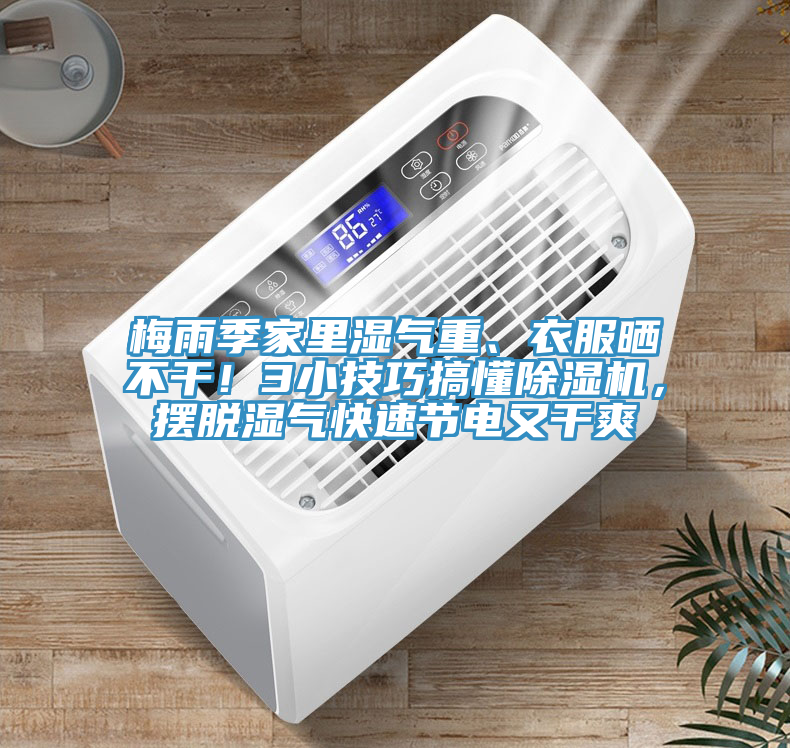 梅雨季家里濕氣重、衣服曬不干!3小技巧搞懂除濕機,擺脫濕氣快速節電又干爽