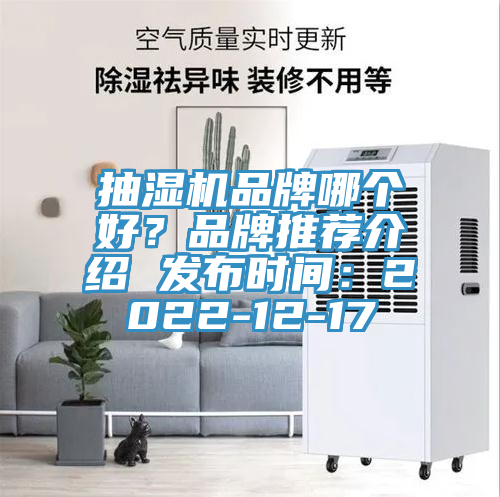抽濕機品牌哪個好？品牌推薦介紹 發布時間：2022-12-17