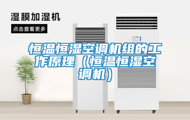 恒溫恒濕空調機組的工作原理(恒溫恒濕空調機)