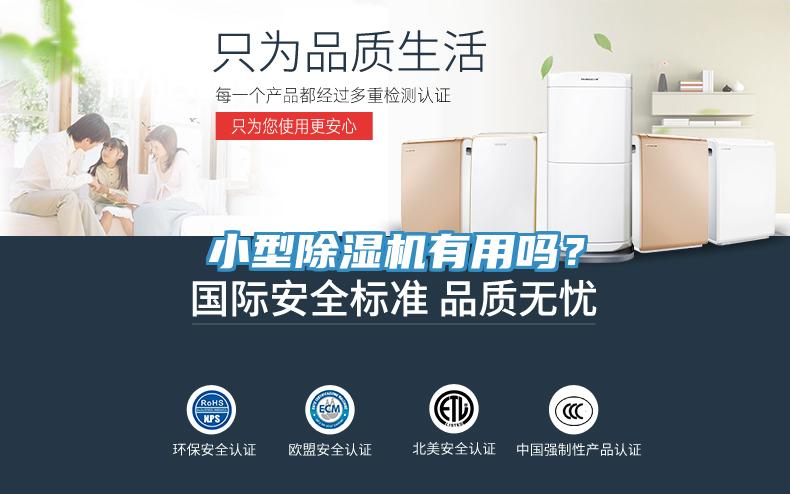 小型除濕機有用嗎?