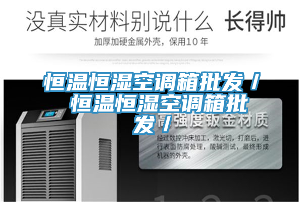 恒溫恒濕空調箱批發(fā)/ 恒溫恒濕空調箱批發(fā)/