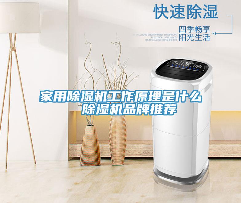 家用除濕機工作原理是什么 除濕機品牌推薦