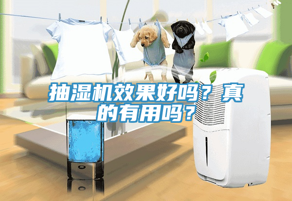 抽濕機(jī)效果好嗎？真的有用嗎？