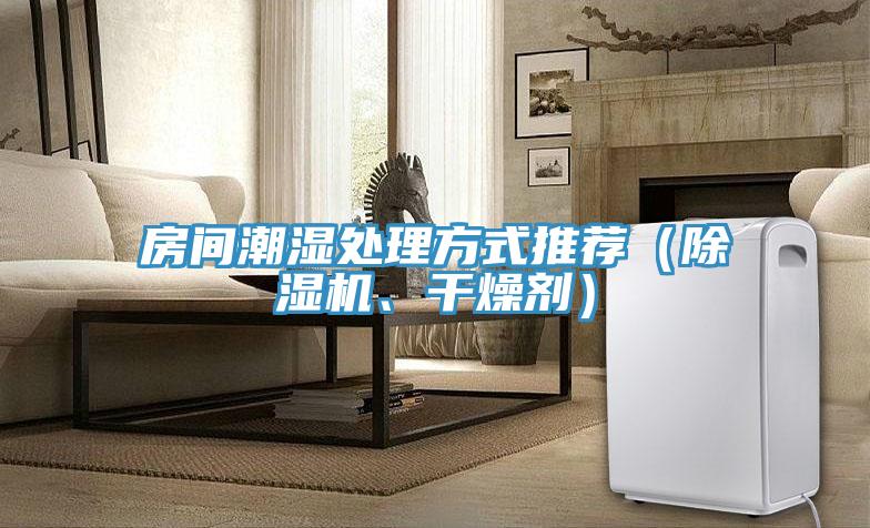 房間潮濕處理方式推薦（除濕機、干燥劑）