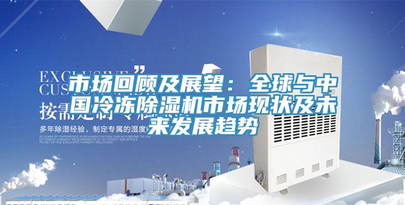 市場回顧及展望：全球與中國冷凍除濕機市場現狀及未來發展趨勢