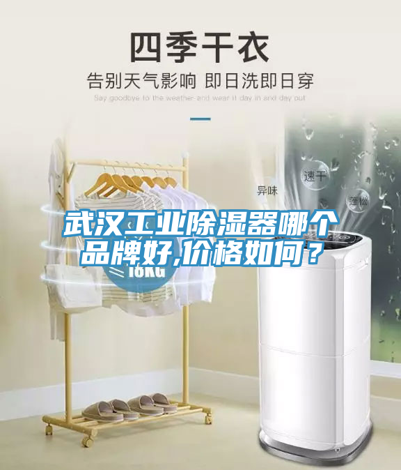 武漢工業除濕器哪個品牌好,價格如何？