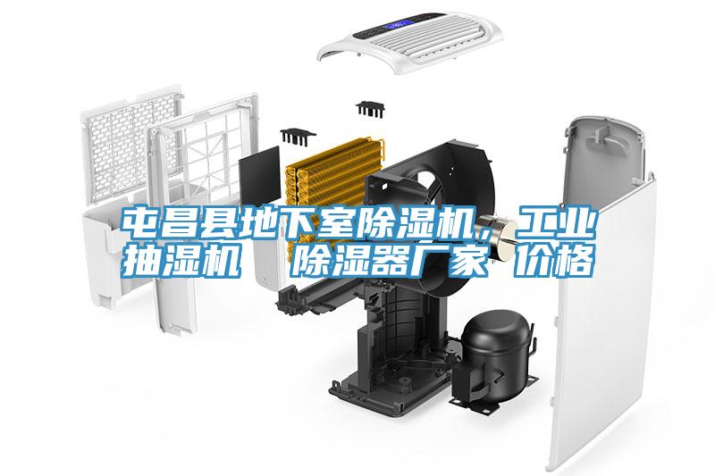 屯昌縣地下室除濕機(jī),工業(yè)抽濕機(jī) 除濕器廠家 價格