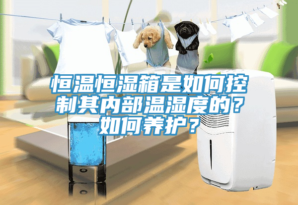 恒溫恒濕箱是如何控制其內部溫濕度的?如何養護?