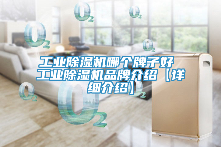 工業除濕機哪個牌子好 工業除濕機品牌介紹【詳細介紹】