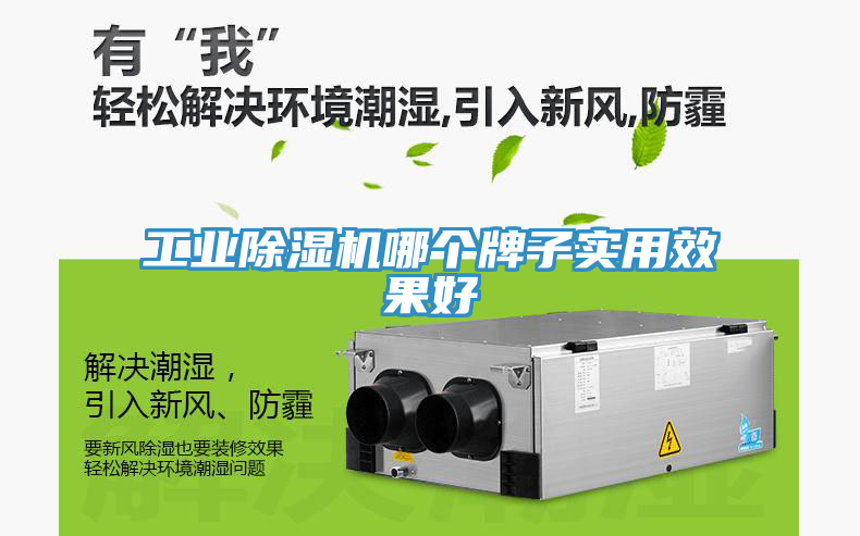 工業除濕機哪個牌子實用效果好