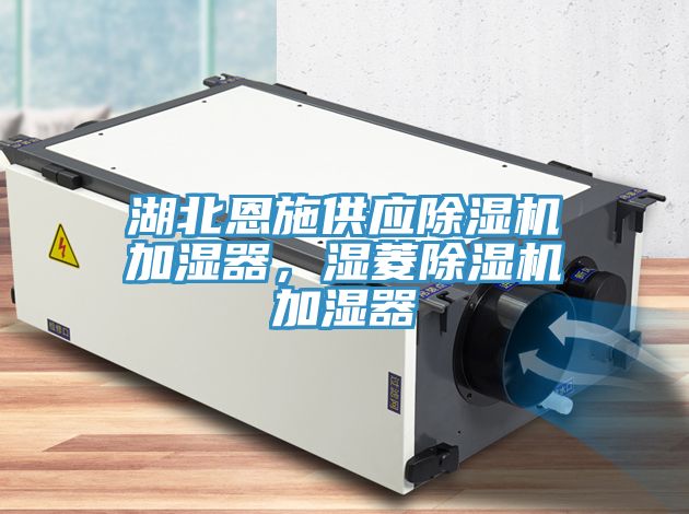 湖北恩施供應除濕機加濕器，濕菱除濕機加濕器
