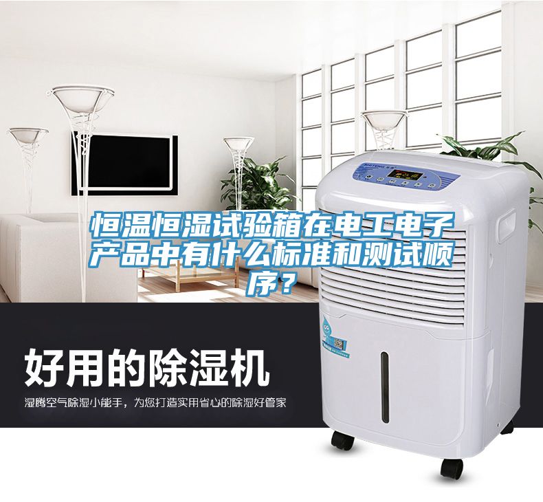 恒溫恒濕試驗箱在電工電子產品中有什么標準和測試順序?