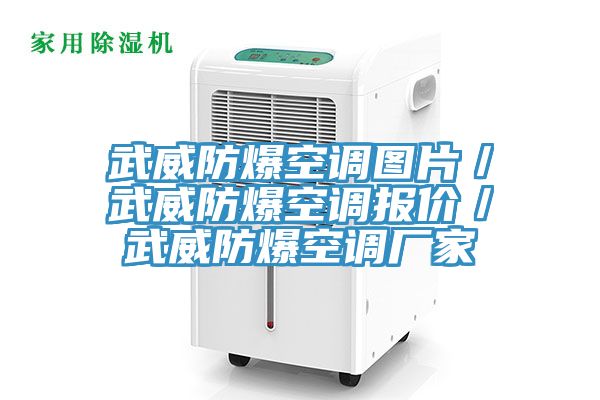 武威防爆空調圖片/武威防爆空調報價/武威防爆空調廠家