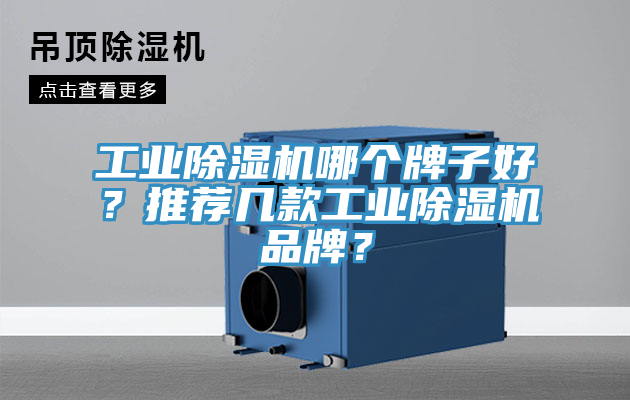 工業除濕機哪個牌子好？推薦幾款工業除濕機品牌？