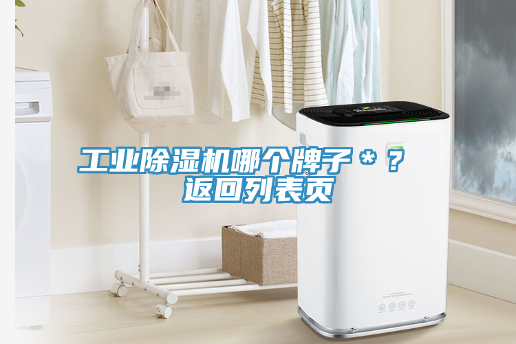 工業除濕機哪個牌子＊？ 返回列表頁