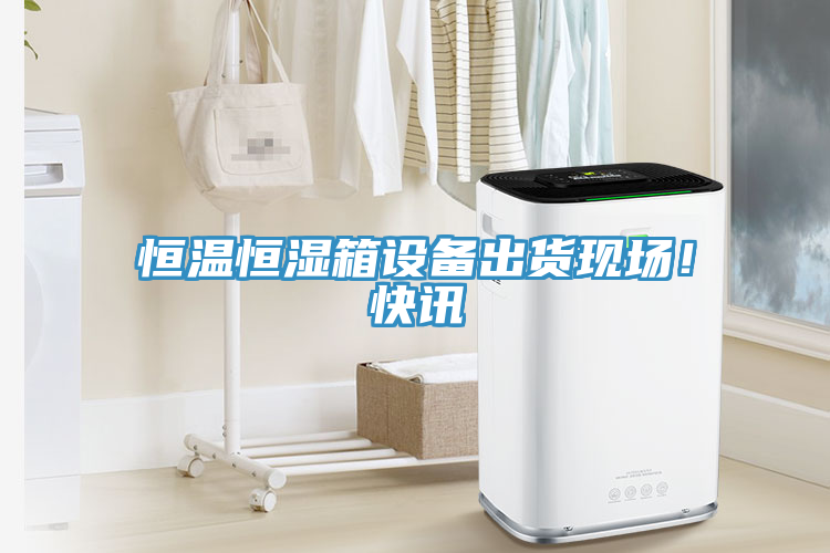 恒溫恒濕箱設備出貨現場！快訊